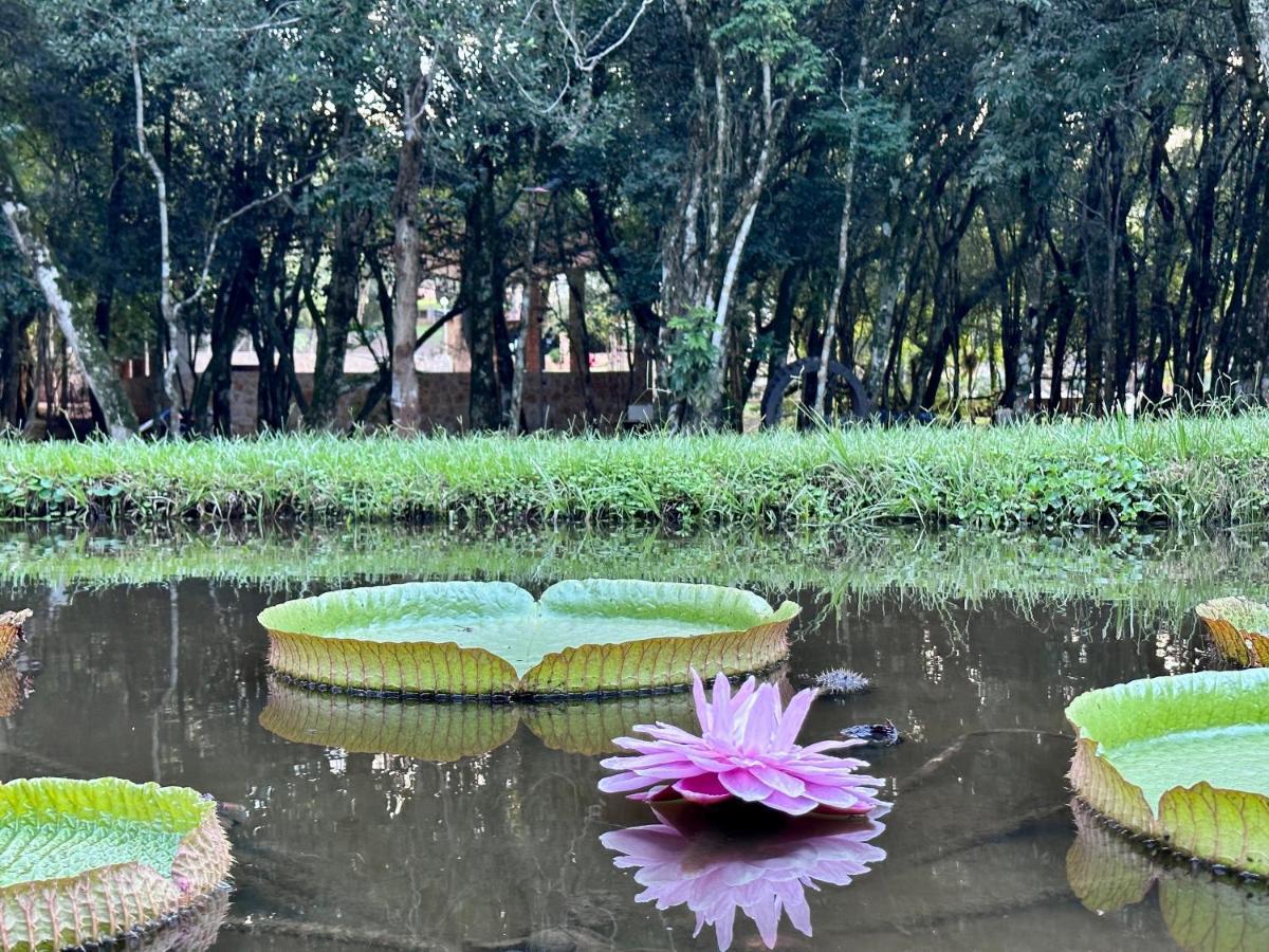 Parque Hotel Manantial Hohenau Exteriér fotografie