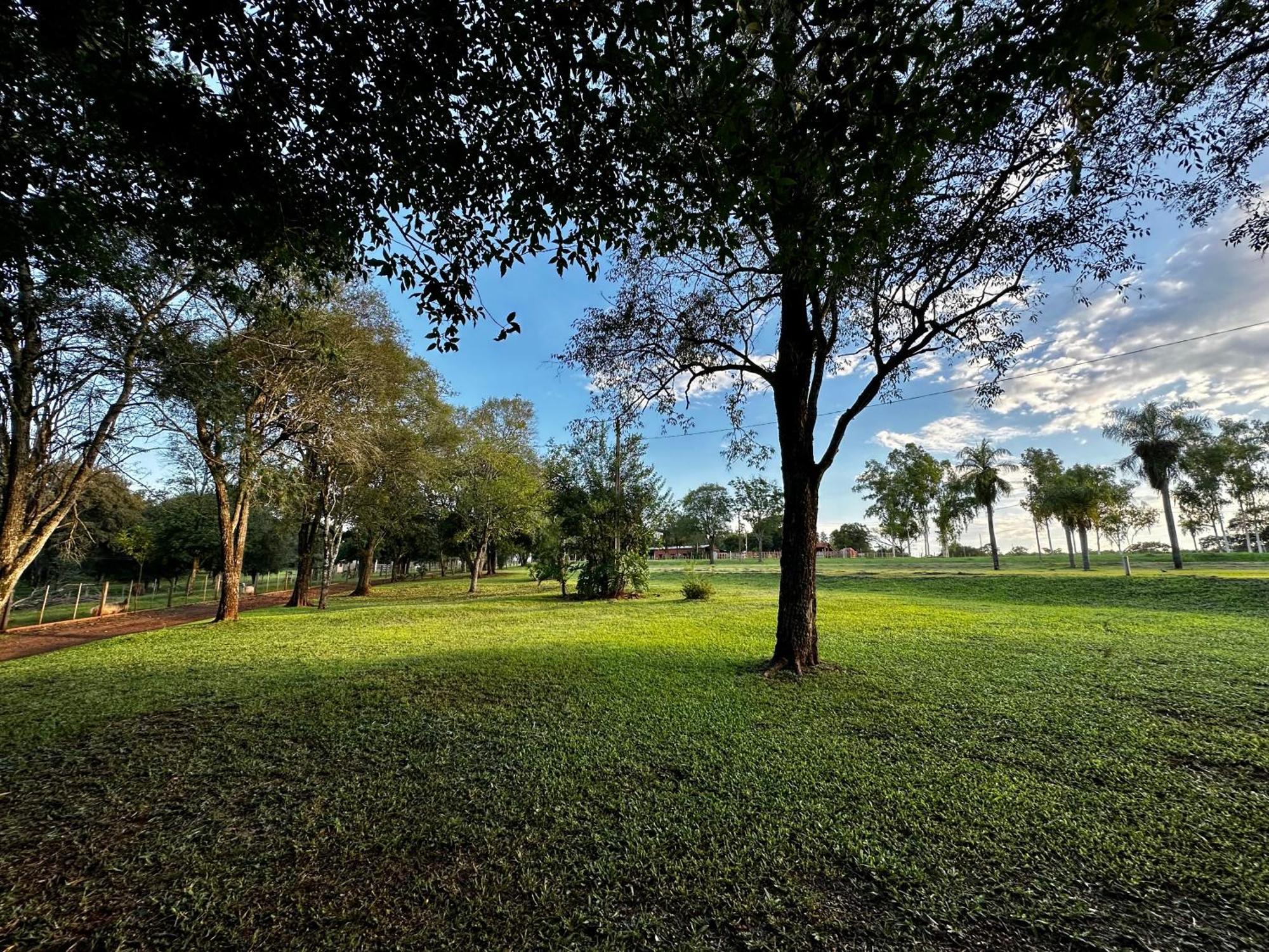 Parque Hotel Manantial Hohenau Exteriér fotografie