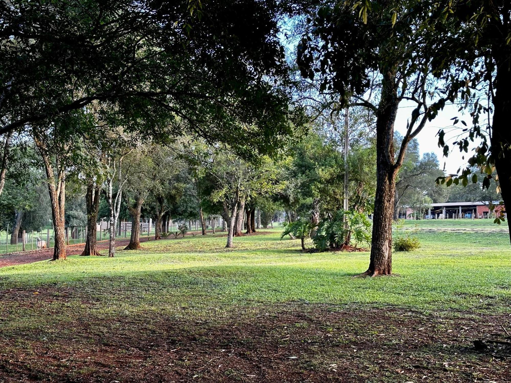 Parque Hotel Manantial Hohenau Exteriér fotografie