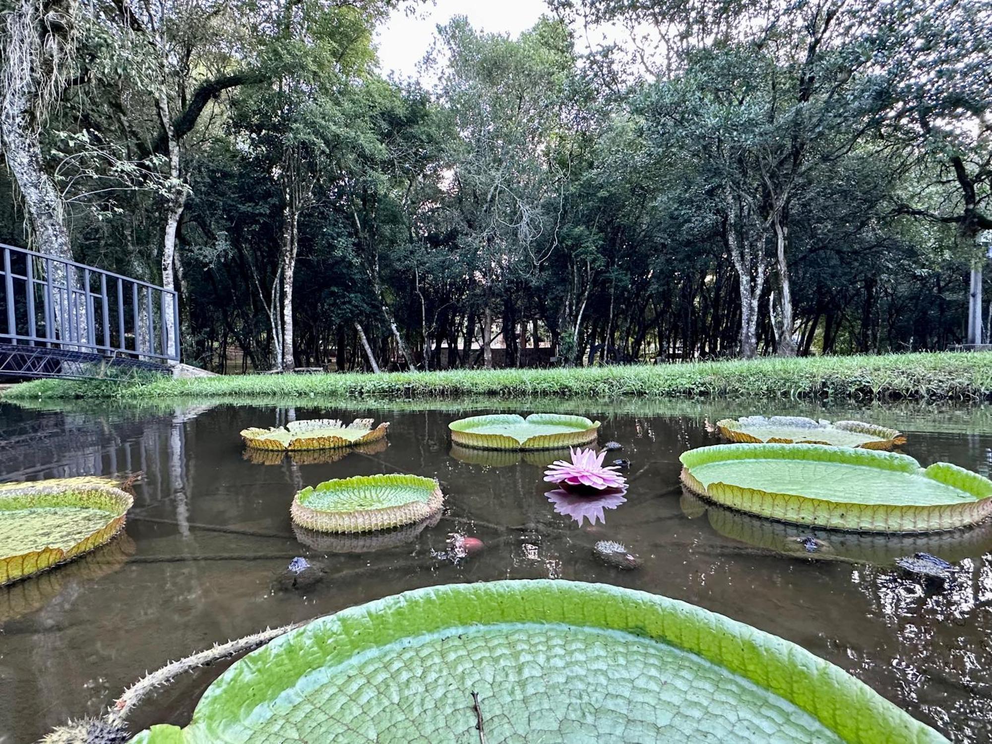 Parque Hotel Manantial Hohenau Exteriér fotografie